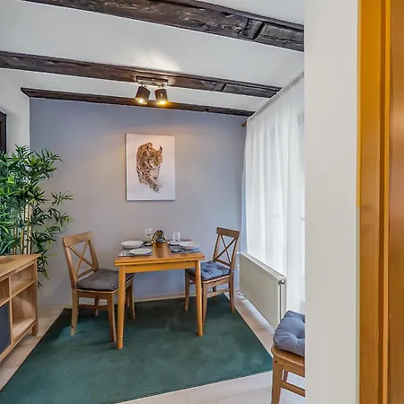 Stadt-Apartment 6 - Sehn Suchts Ort Bad Harzburg Extérieur photo